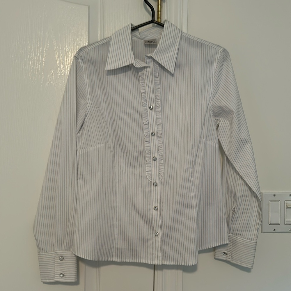 Blue pinstripe elegant blouse